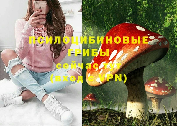 крисы Богданович