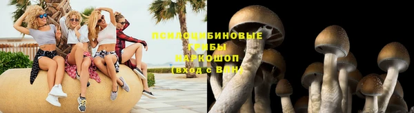 крисы Богданович
