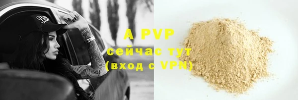 крисы Богданович