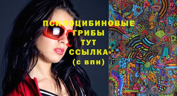 крисы Богданович