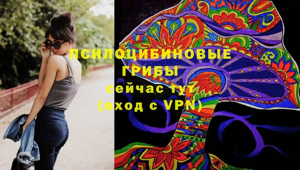 спайс Богородск