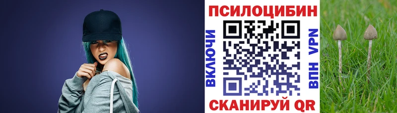 Псилоцибиновые грибы MAGIC MUSHROOMS  даркнет сайт  маркетплейс Telegram  Ростов-на-Дону  KRAKEN  